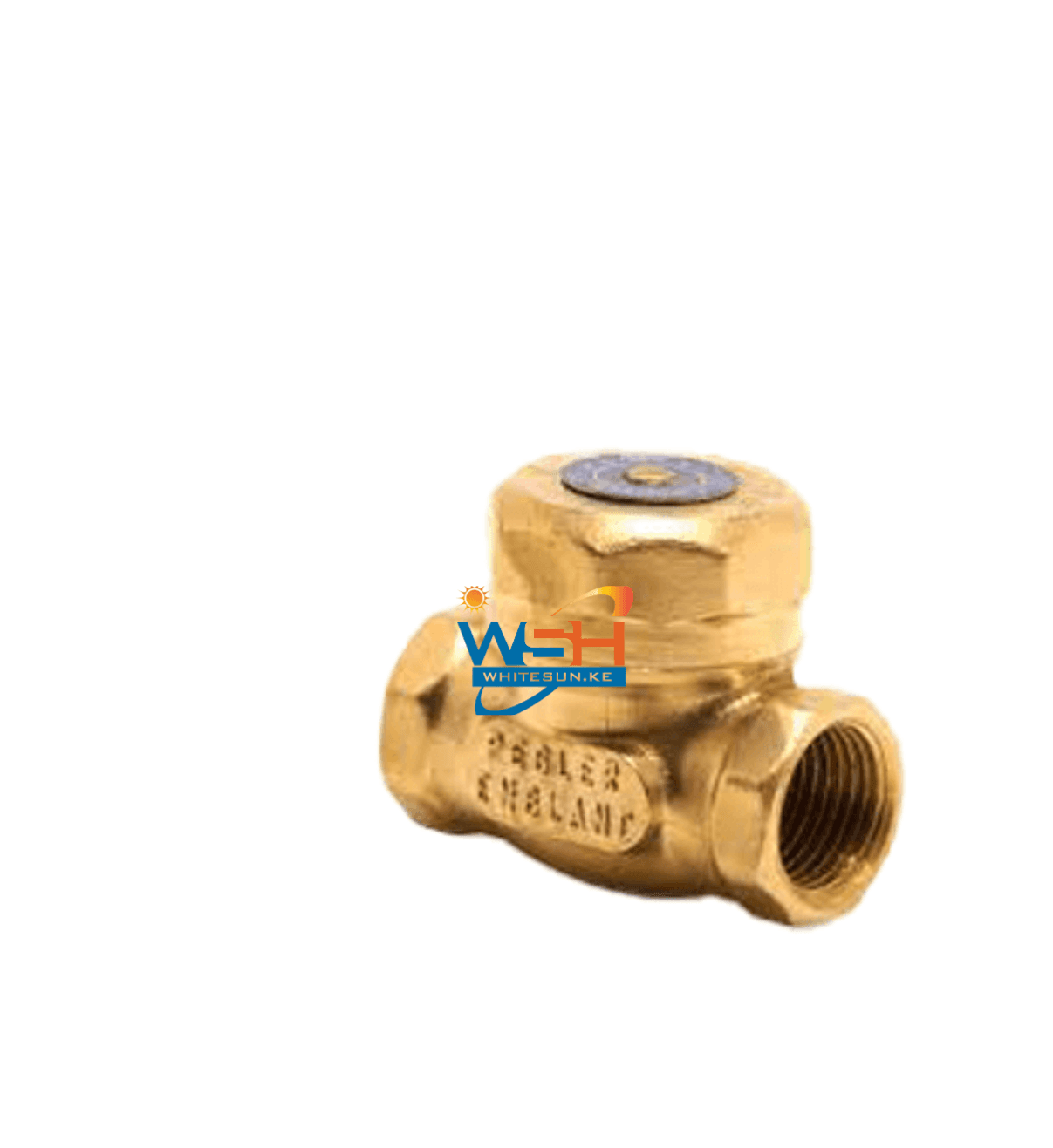 PEGLER BRASS SWING CHECK VALVE 1" 1062