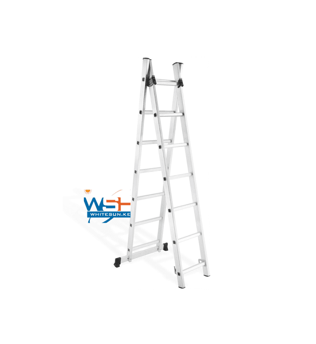 two-section-extension-ladder