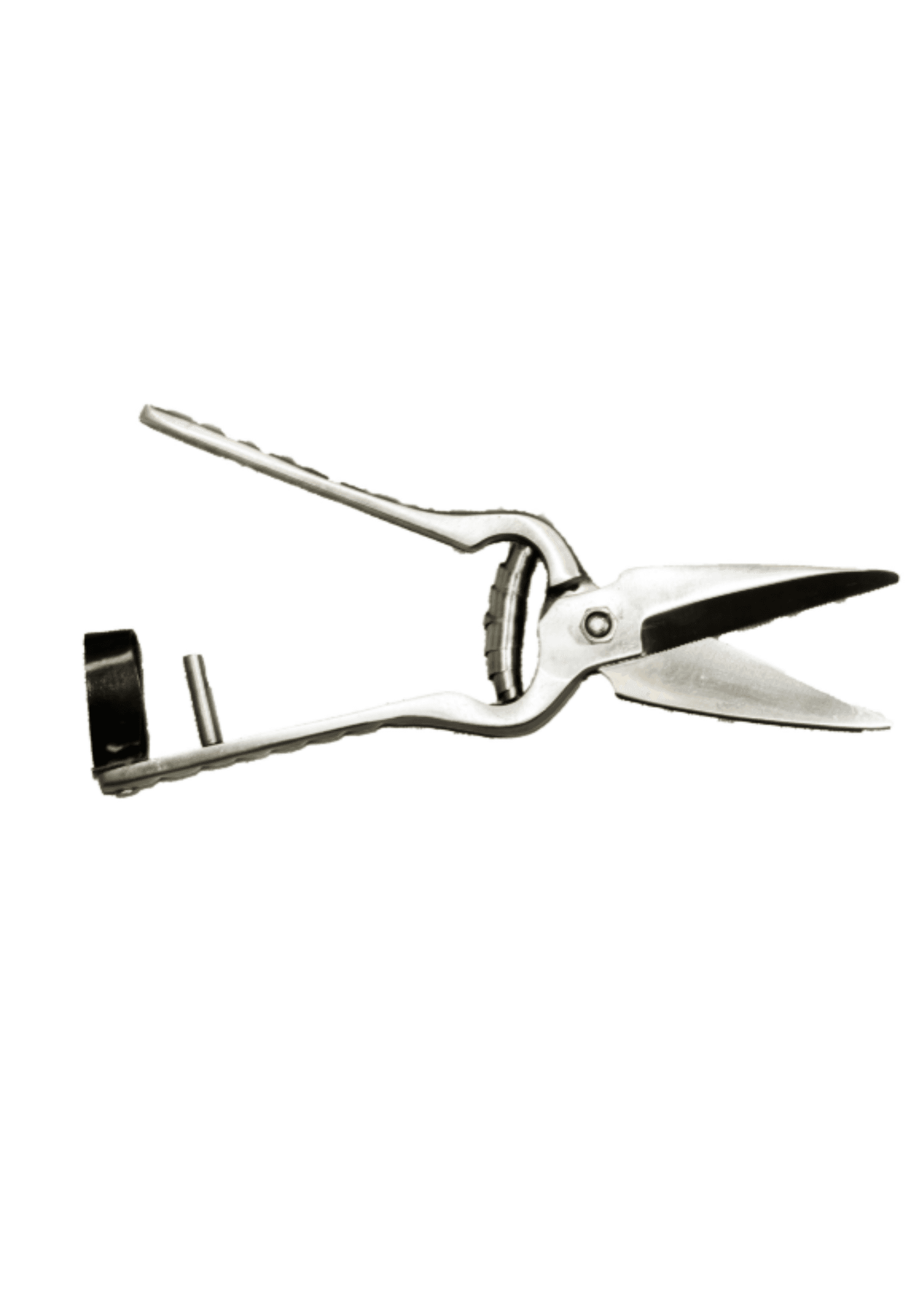 Foot Rot Shear-Serrated