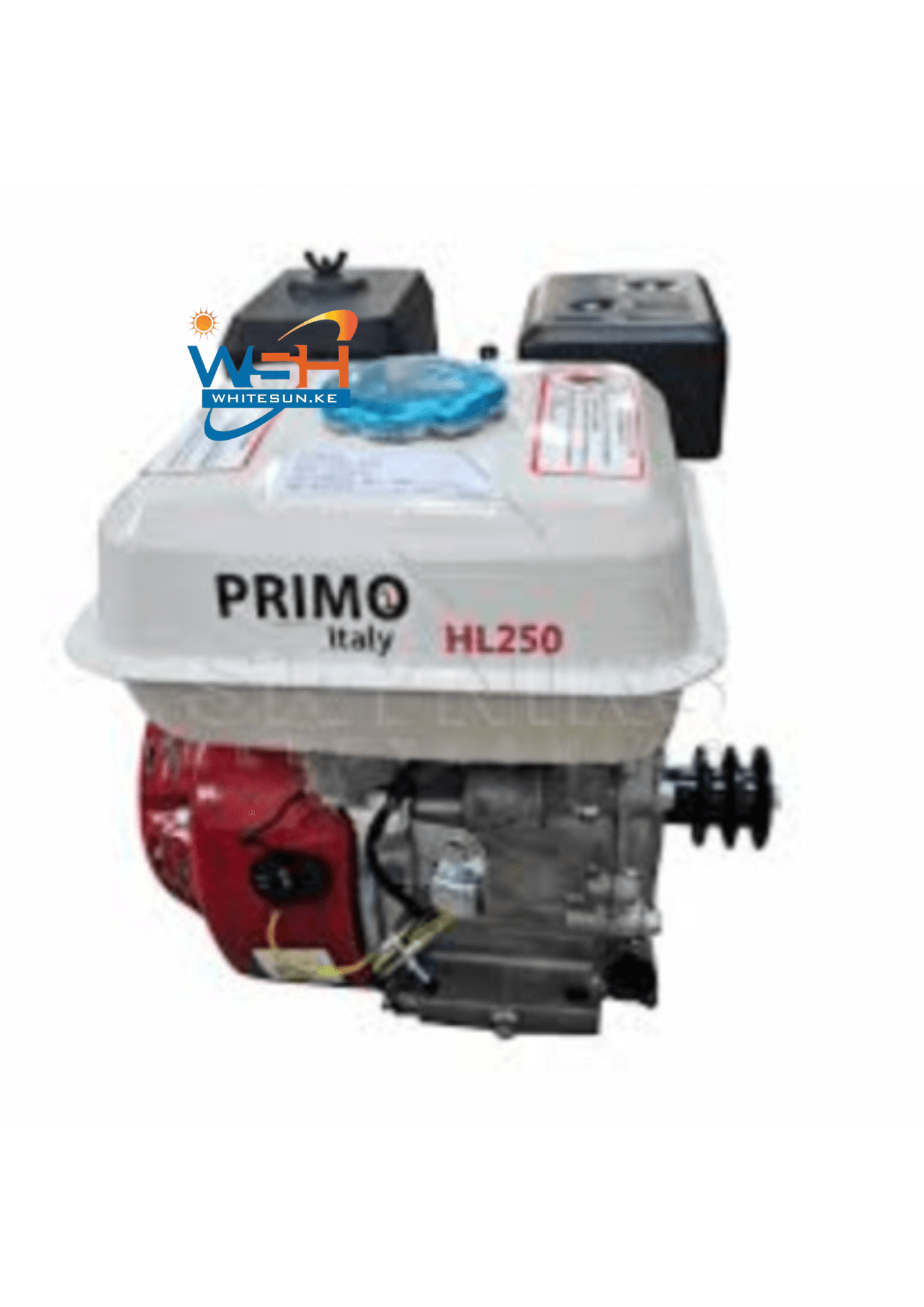 9Hp Primo Italy Diesel Engine HL186F - Blue Key Shaft Thumbnail 3