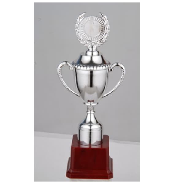 budget-trophy-c-25-5cm-60mm-plastic