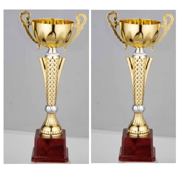 fb2054-a-budget-trophy-a-38-5cm