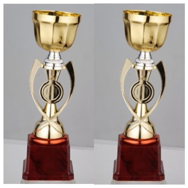 fb2018-a-budget-trophy-a-32cm