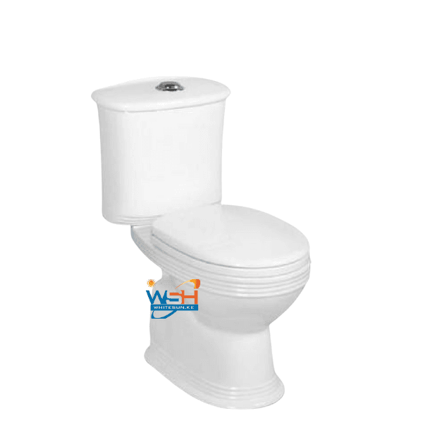 wash-down-two-pieces-toilet-3