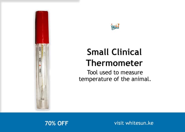small-clinical-thermometer