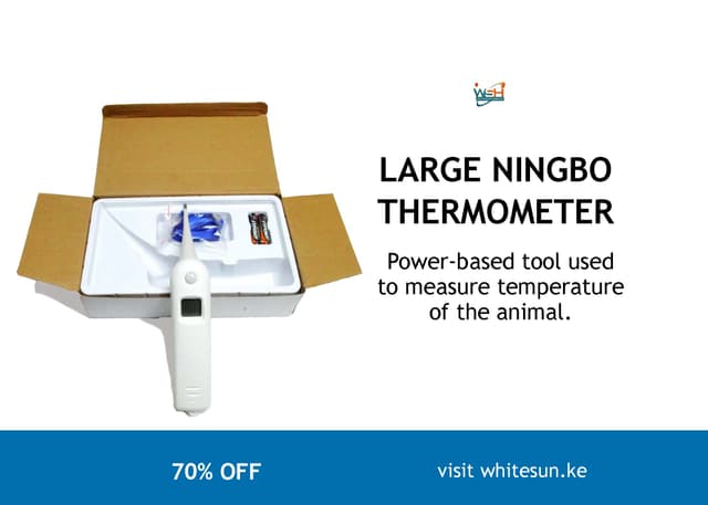 large-ningbo-thermometer